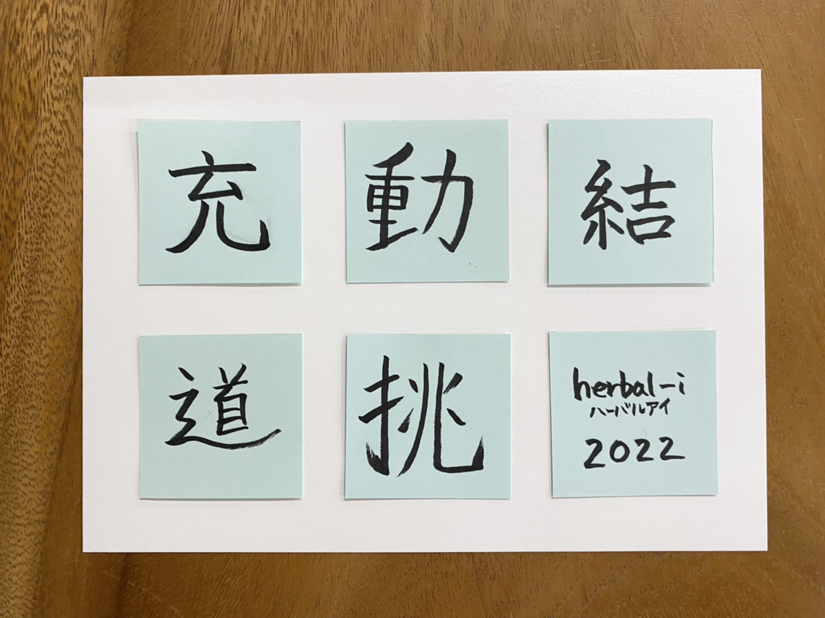 22年の抱負を漢字一文字で